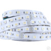 RGB WW CW CCT LED strip